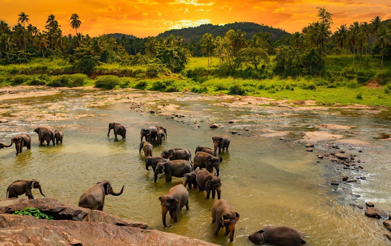 WhatsApp Image 2025-08-21 at 12.54.16.jpeg